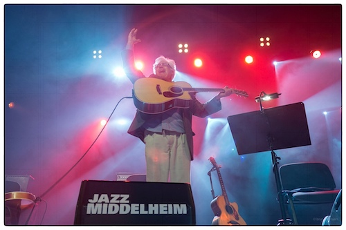 Jazz Middelheim door Bruno Bollaert