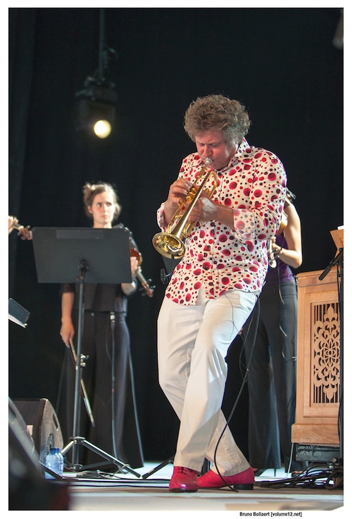 Jazz Middelheim door Bruno Bollaert